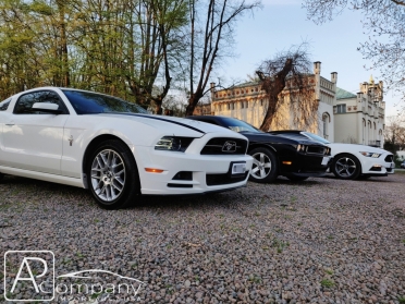 2x Mustang i 1x Challenger 2014