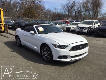 Ford Mustang Cabrio 2.3